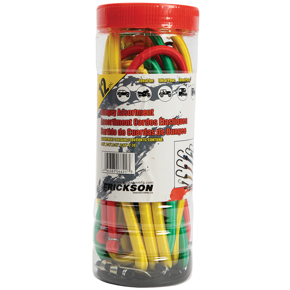 12 Pack Assorted Jar of Bungey Cords