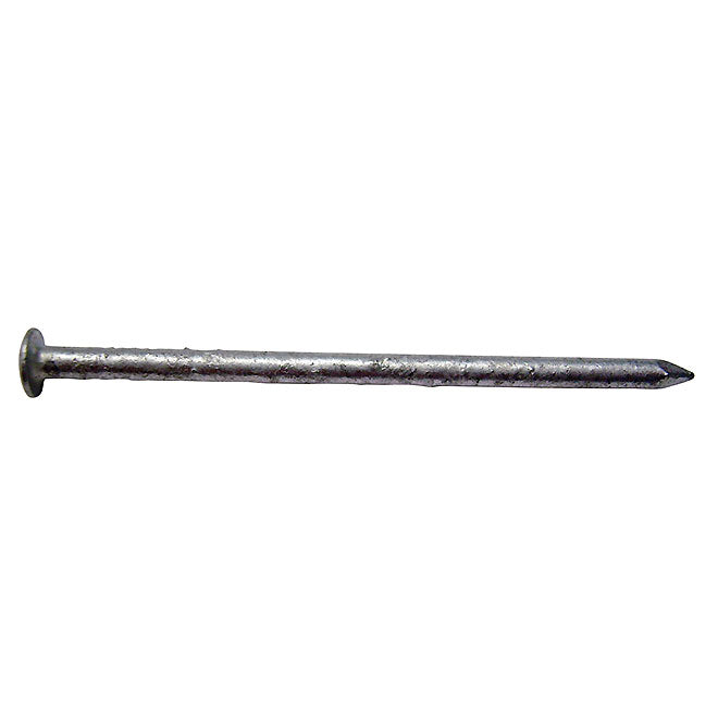 2-1/2" Oval Head Siding Hot Galvanized, (50 LB)