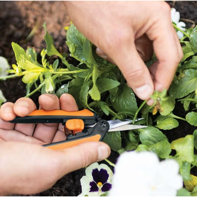 Micro-Tip Pruning Snips