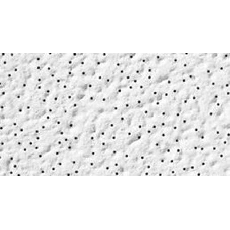 2'x2'x5/8" Alpine Ceiling Tile #1004, White