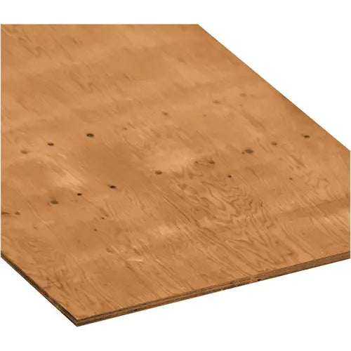 3/4" X 4' X 8' Brown Pressure Treated Plywood