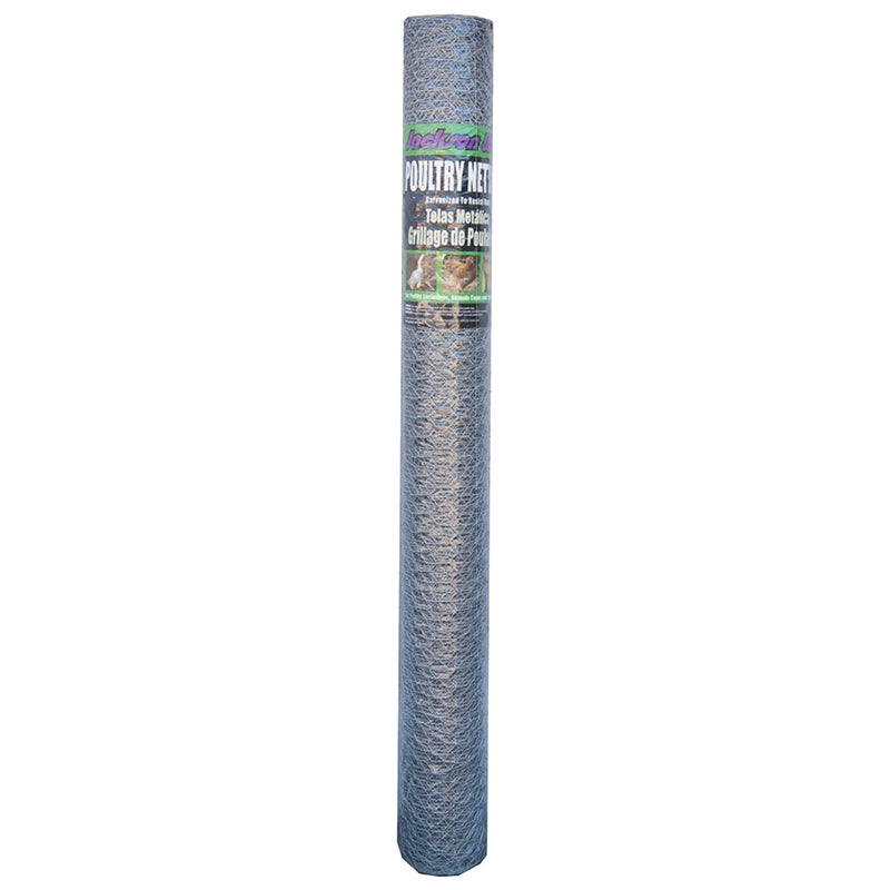 1"x48"x50' 20GA Poultry Netting