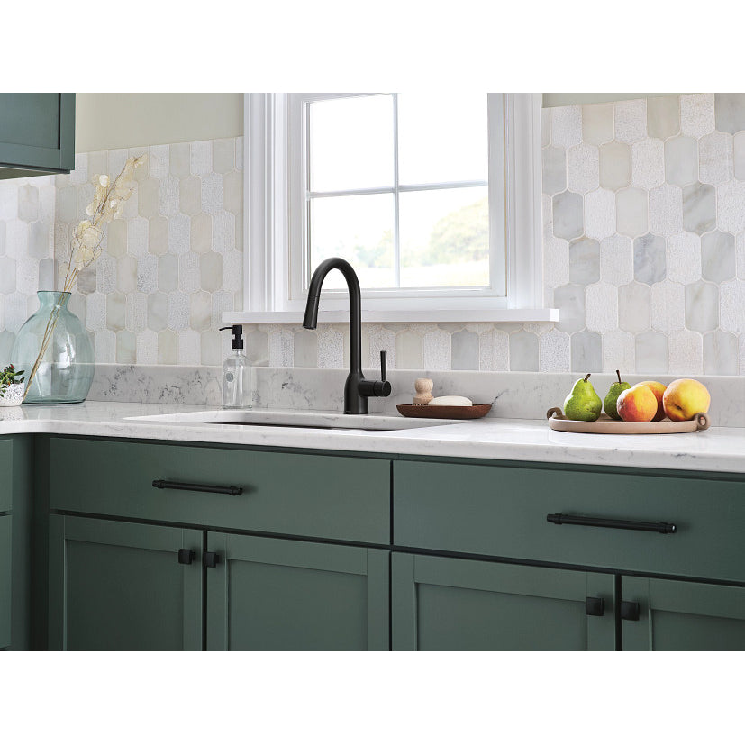 Adler One-Handle High Arc Kitchen Faucet, Matte Black