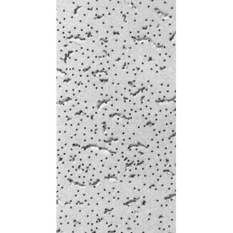 5/8"x2'x4' Fifth Avenue Firecode 220 Acoustical Panels, White