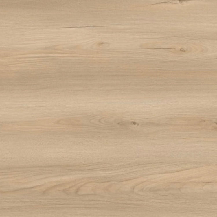 Surfacor 12mm Laminate Flooring, Latte (23.37 sqft)