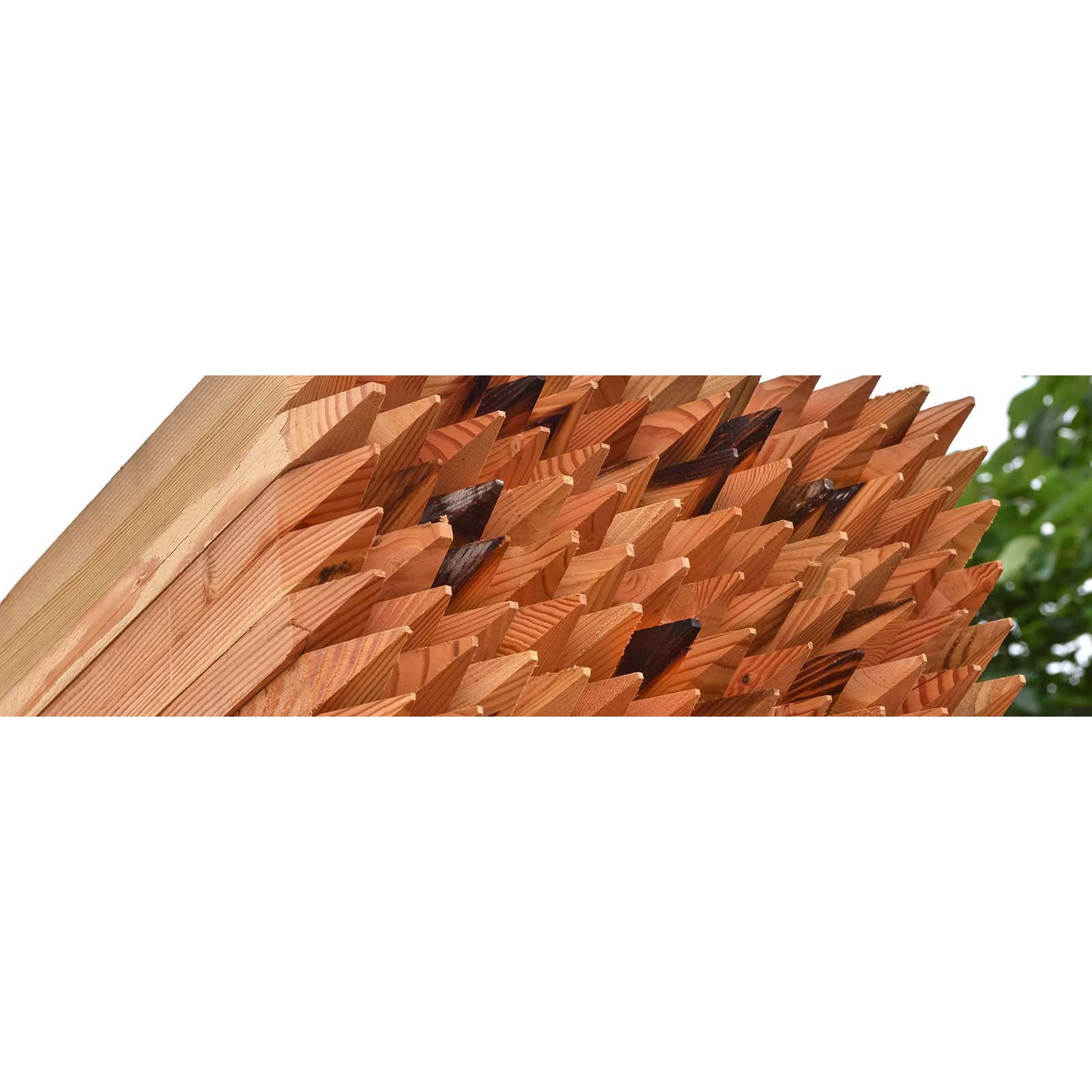 2” X 2” X 48” Pointed Wooden Stake