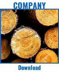 A clickable thumbnail to download the Turkstra company history PDF