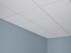 USG Ceilings Mars R86785 Acoustical Panels 2 ft x 2 ft x 3/4 in, White, Shadowline Tapered (SLT) Edge, 1 Piece XT
