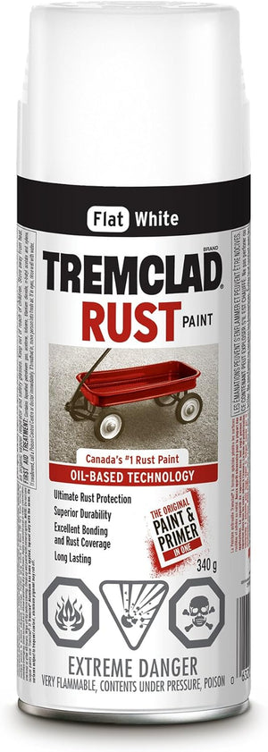 Rust Paint Spray Int/Extr, Flat White