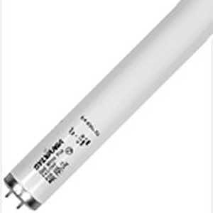 40W 48" T12 Fluorescent Bulb