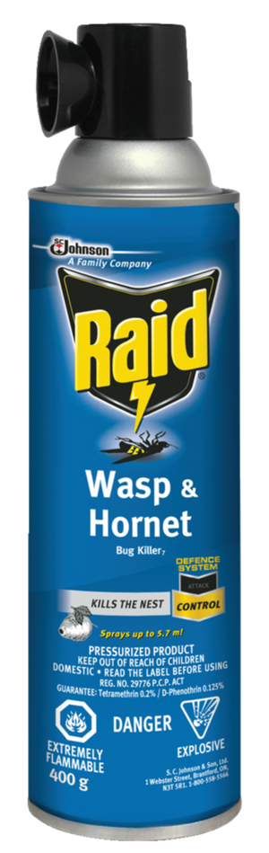 INSECTICIDE WASP/HORNET 400G