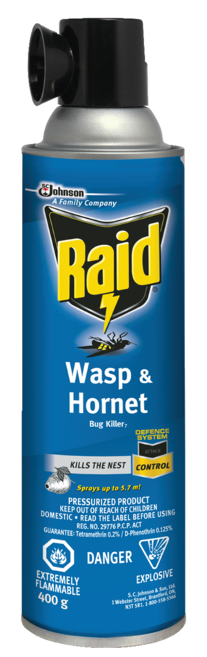 400g Raid Wasp and Hornet Killer Spray Can