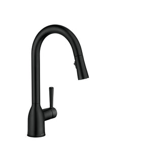 Adler One-Handle High Arc Kitchen Faucet, Matte Black