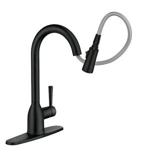 Adler One-Handle High Arc Kitchen Faucet, Matte Black