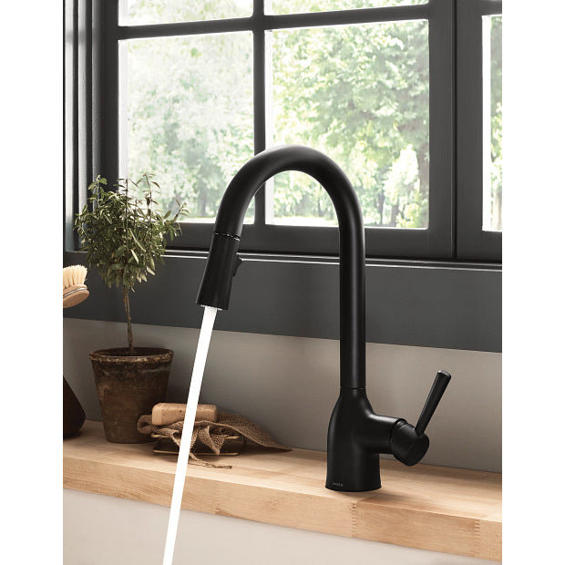 Adler One-Handle High Arc Kitchen Faucet, Matte Black