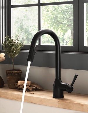 Adler One-Handle High Arc Kitchen Faucet, Matte Black