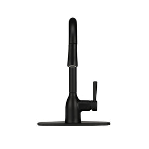 Adler One-Handle High Arc Kitchen Faucet, Matte Black