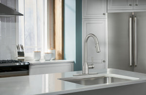 Adler Kitchen Faucet, Spot Resistant Stainless Steel