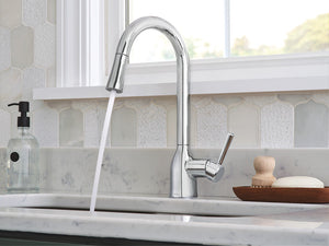 Adler One-Handle High Arc Pulldown Kitchen Faucet, Chrome