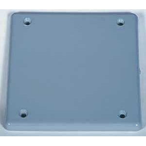 PVC 2 Gang Blank Plate Device Box Cover, Grey