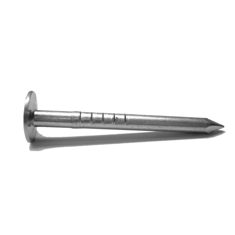 1-1/2" x 10ga Roofing Electro-Galv Nails (50 LB)