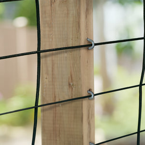 Galvanized U-Shaped Wire Staples - 3/4" x 14 Gauge Nuvo Iron