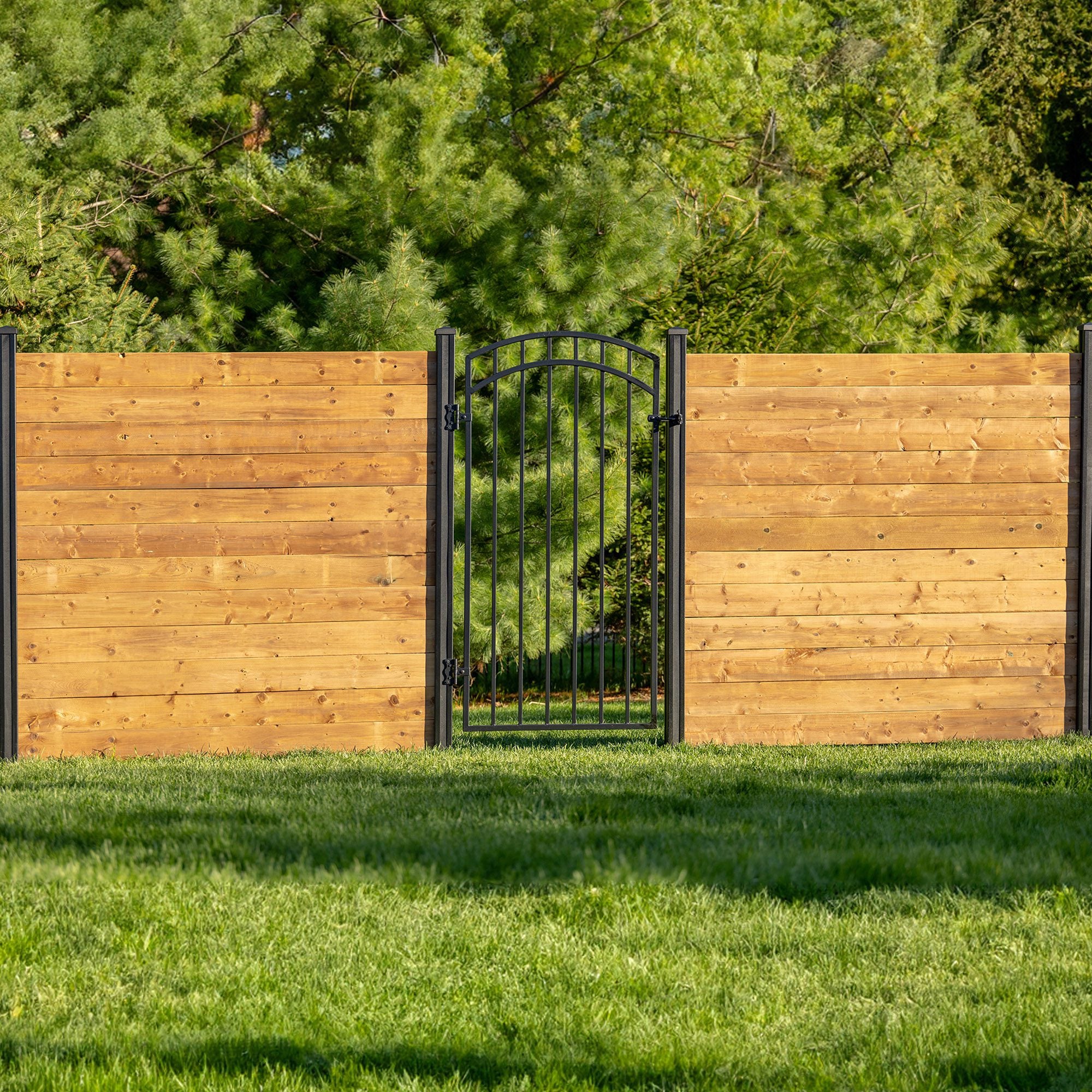 33"x68" Smooth-Topped Ornamental Iron Gate