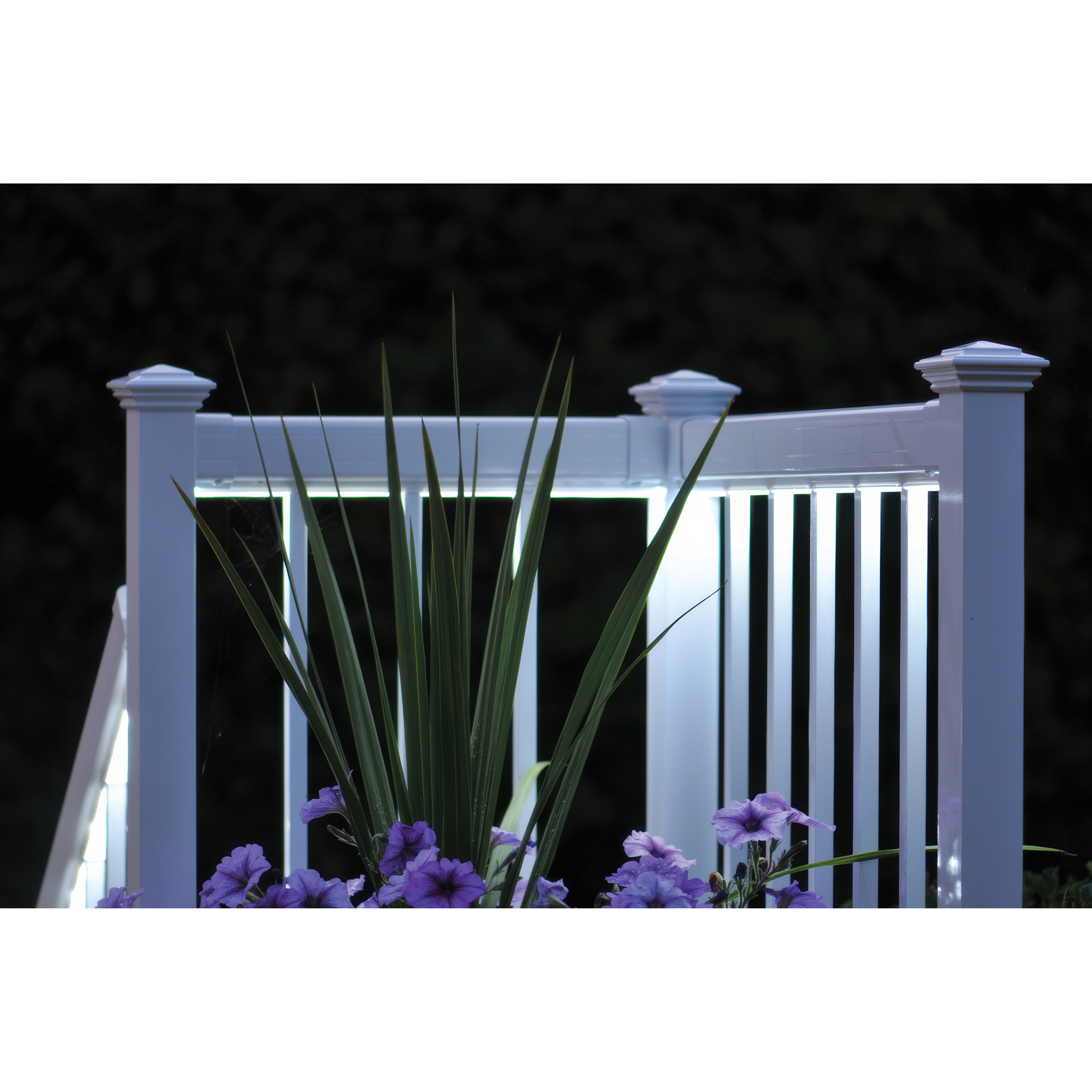 The Regal Rail 6' Straight Pickets in white by Regal Rail are lit up at night, standing out behind green leaves and purple flowers, highlighting their modern elegance against a dark, blurred background.
