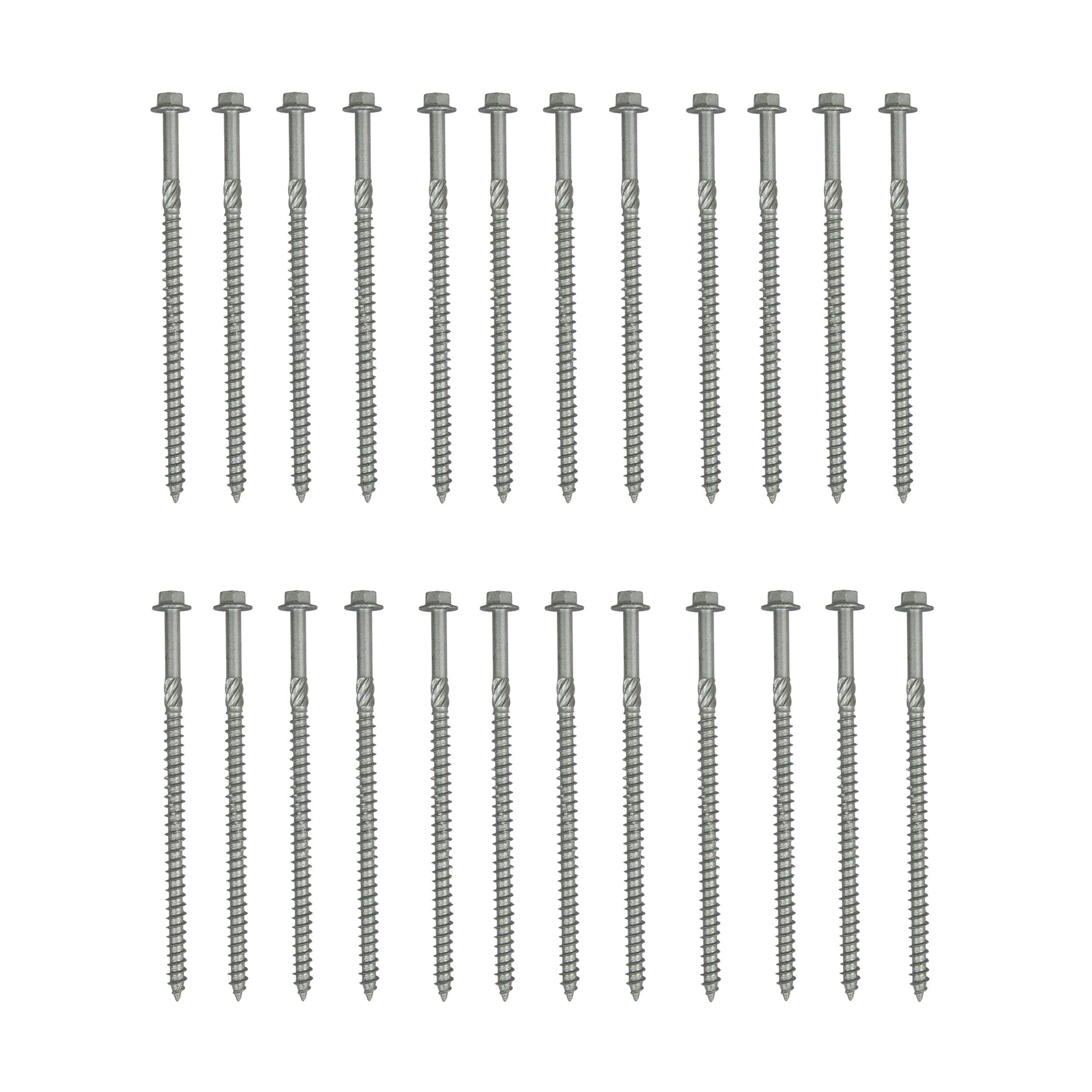 Twenty-four Regal Rail 6" Structural Lags (REGAL, 24 Pack) are arranged in two parallel rows of twelve on a white background. Each screw features a hex head and threaded shaft, ideal for rust-resistant aluminum railing systems.