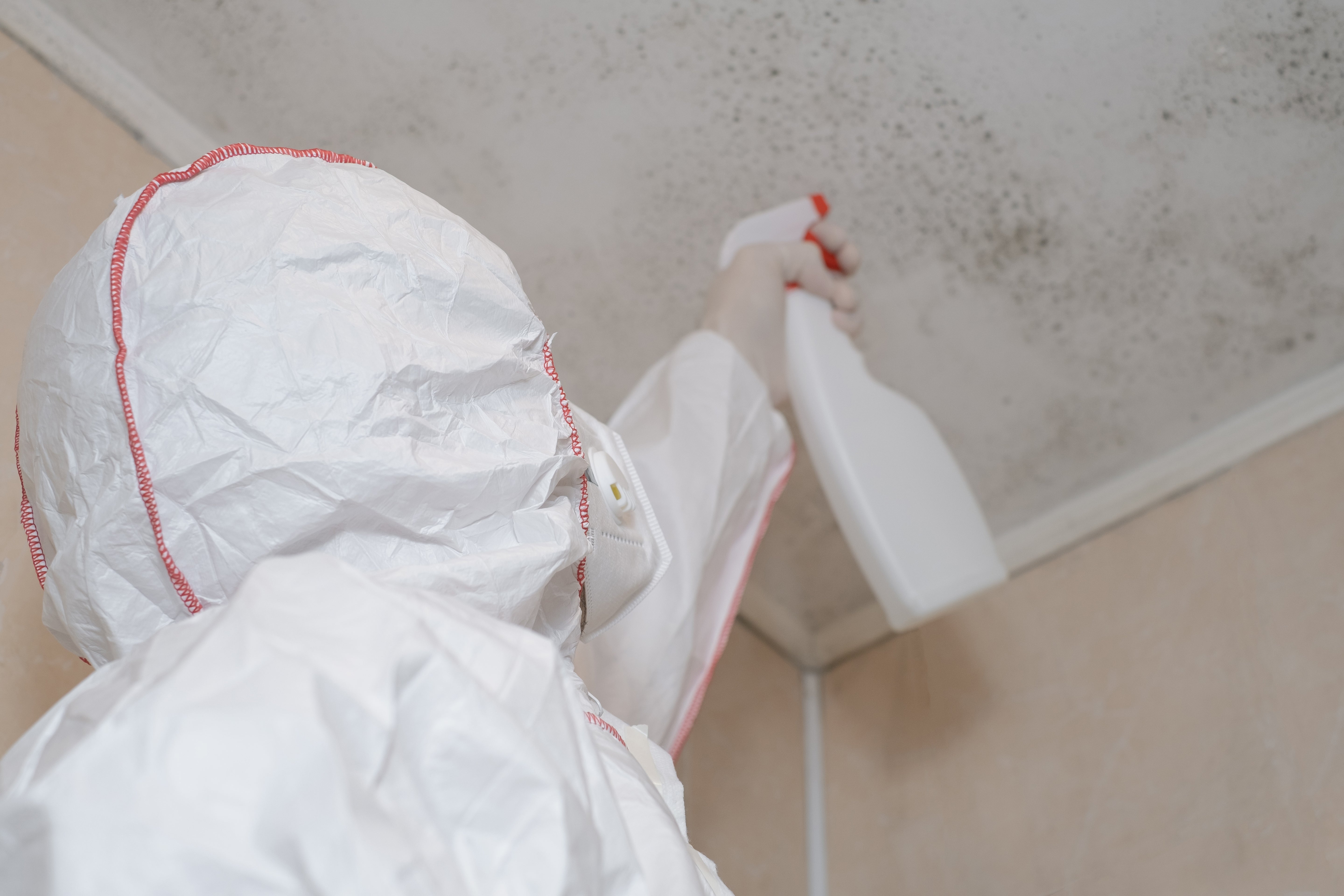 Person in a white protective suit inspecting mold on a ceiling