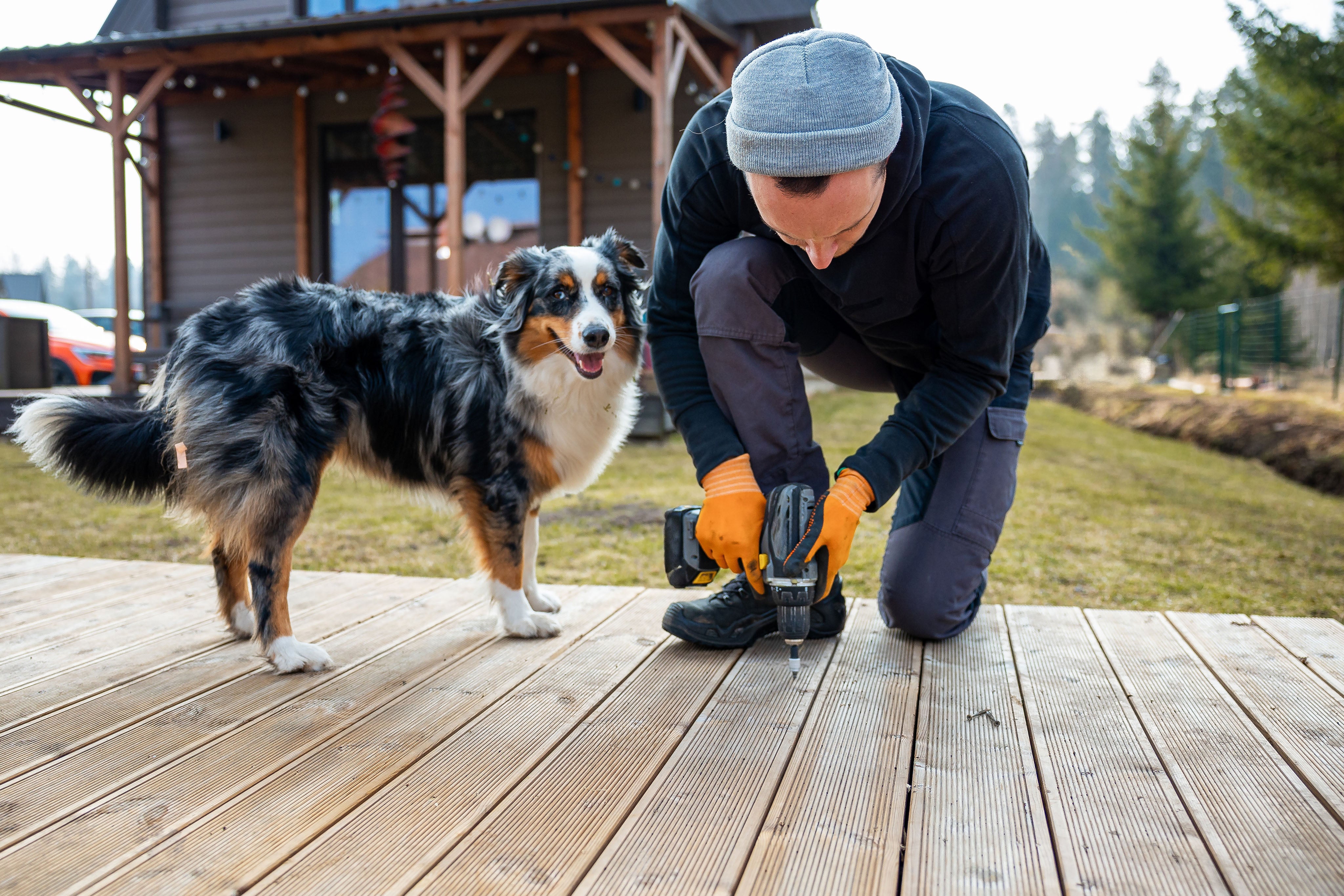 Do it yourself - Homeowner building a deck with his dog