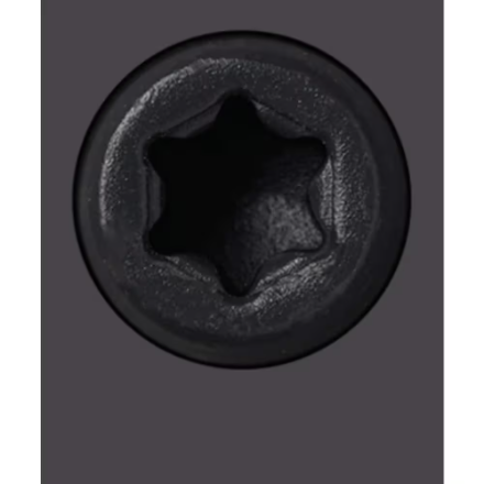 2-3/4" Starborn CAP-TOR #10 Stainless Steel Screws, Dark Slate #55 (100 Pieces)