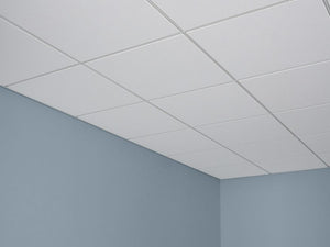 2' x 2' Mars Ceiling Tile R86785, White