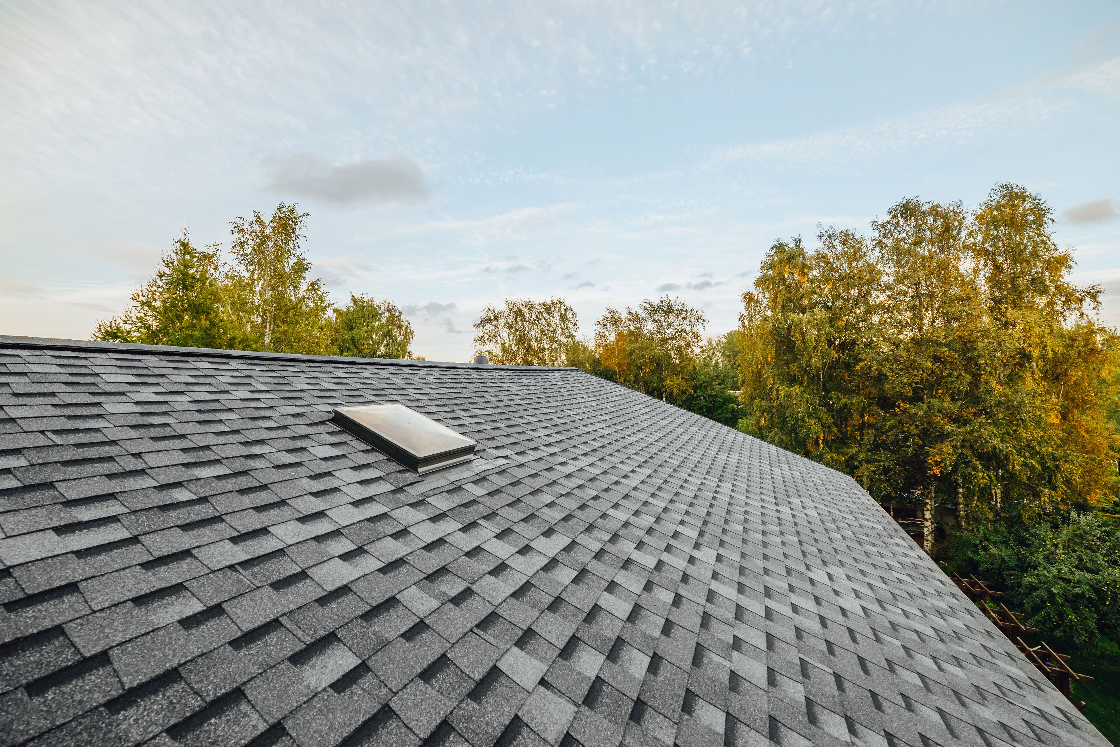 Gray asphalt shingle roof with a skylight, surrounded by tall green trees under a partly cloudy sky.