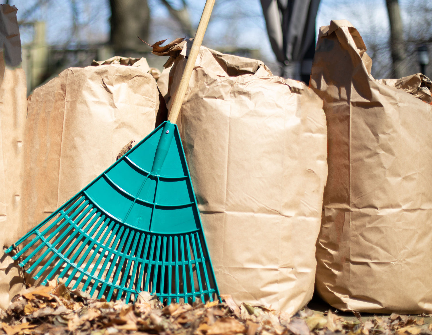 A green rake and leaves in front of three yard waste bags.